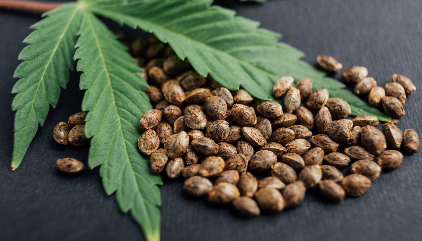 Hemp seeds
